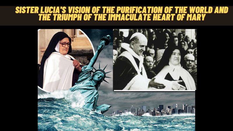 SISTER LUCIA’S VISION OF THE PURIFICATION OF THE WORLD AND THE TRIUMPH OF THE IMMACULATE HEART OF MARY