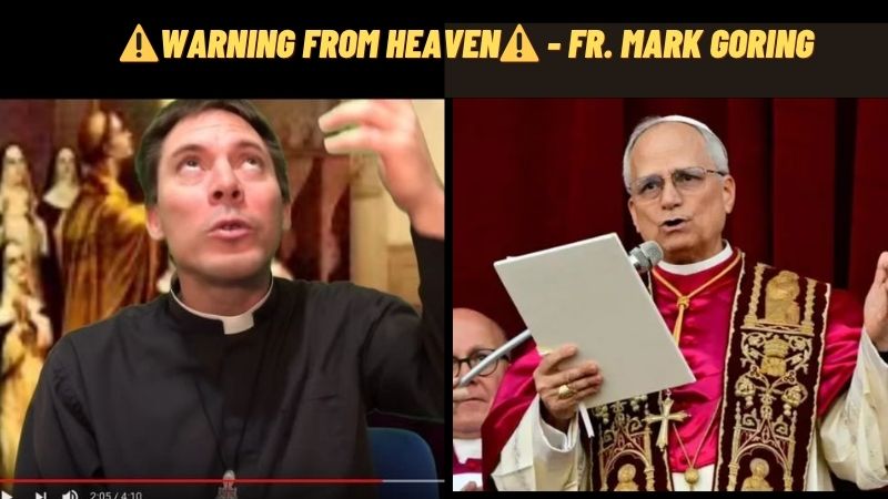 ⚠️WARNING FROM HEAVEN⚠️ – Fr. Mark Goring
